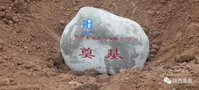 1506477602479553.jpg